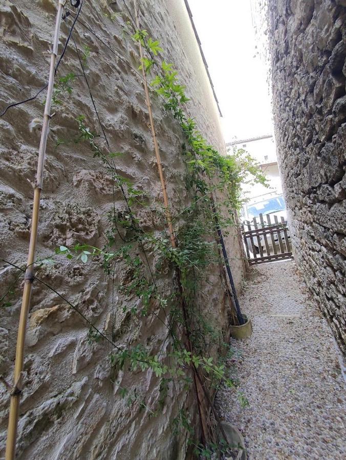 Il Fait Bon Vivre Classe 3 Etoiles Montcuq Eksteriør billede